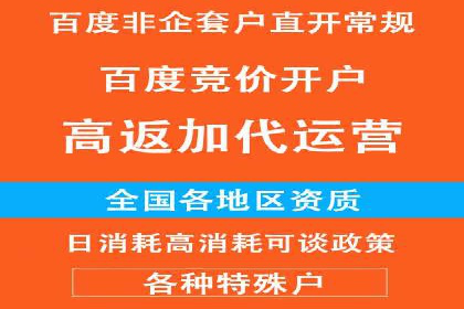 百度竞价优化技巧：成功案例分享